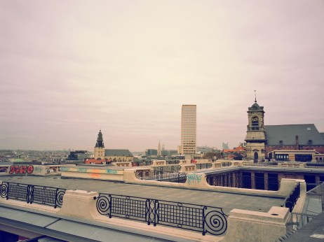 10-23-15 (Brussels) A rooftop view of the city.jpg