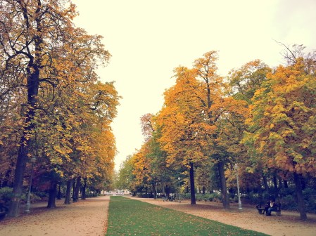 10-23-15 (Brussels) Parc de Bruxelles.jpg