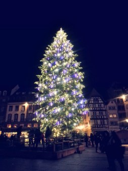 11-28-15-christmas-tree-at-place-kleber-strasbourg