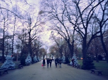 11-29-15-winter-wonderland-colmar