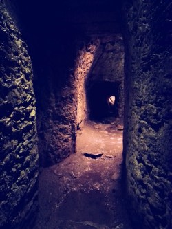 12-21-15-blarney-inside-the-castle