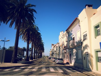 16-02-18-aveiro-in-aveiro