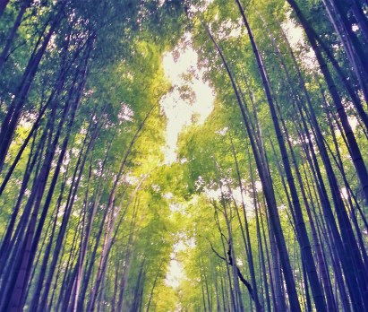 20160619_190534 - Copy