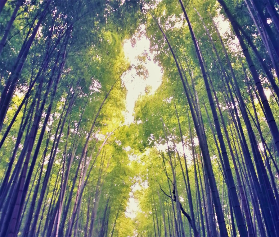 20160619_190534 - Copy