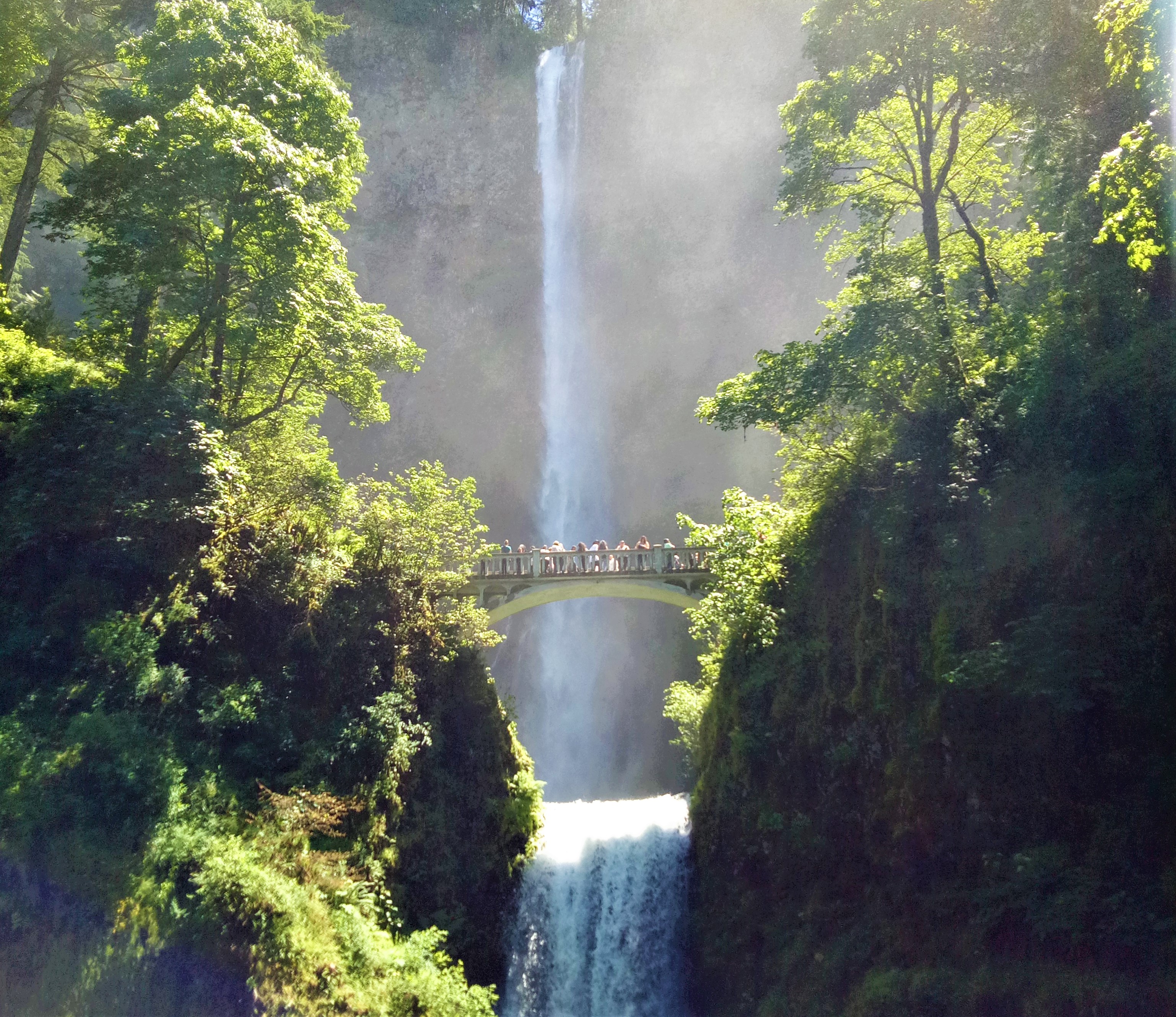 IMG20170618132602 - Copy