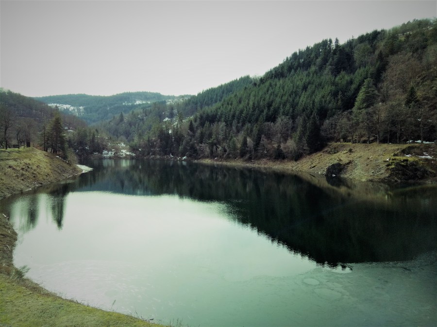 IMG20180219124513 - Copy